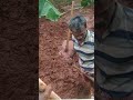 பைப்லைன் மாட்டுதல் agriculture trending shortvideo