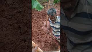 பைப்லைன் மாட்டுதல்#agriculture #trending #shortvideo