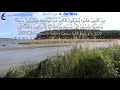 An Nisa- One of the World's Best Quran Recitation in 50+ Languages- Davut Kaya -Open the subtitle
