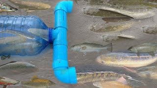 Smart Girl Make Fish Trap Using PVC And Plastic Bottle To Catch Fish ( Part 3)