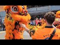 新加坡南仙龍獅體育會 singapore nam sieng dragon u0026 lion high poles performances at clementi blk 448 18 02 24