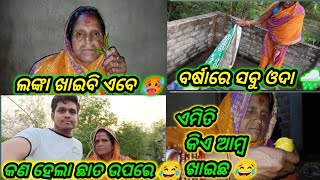 ବୋଉ ଆଜି ଲଙ୍କା ଖାଇଲା 🌶️ 😂 // ବର୍ଷାରେ ସବୁ ଓଦା ହେଇଗଲା 🥹 // ଆମ୍ବ ଖାଇବା ବୋଉଠୁ ଶିଖ 🤭 // @Manjulatavlog