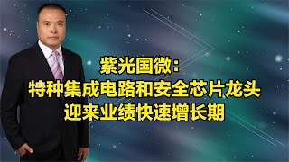 紫光国微：特种集成电路和安全芯片龙头，迎来业绩快速增长期