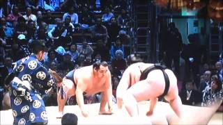 平成28年大相撲九州場所10日目　鶴竜　照ノ富士