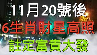 老人言：11月20號後，6生肖財星高照，註定富貴大發 #硬笔书法 #中国語 #书法 #老人言 #中國書法 #老人 #傳統文化 #生肖運勢 #生肖 #十二生肖