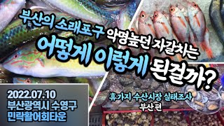 ‘부산의 소래포구’로 불리던 악명높은 자갈치, 왜 이렇게 됐죠?😱 부산 대표 수산시장 민락동회타운/자갈치수산시장 실태조사