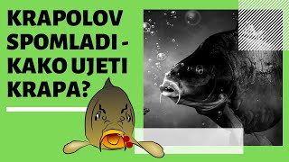 Krapolov spomladi – kako ujeti velikega krapa?