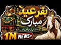 🐐 Eid-ul-Adha Mubarak | Beautiful Bakra Eid Naat Video 💚