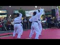 demo team with mesmerizing martial arts in oakland