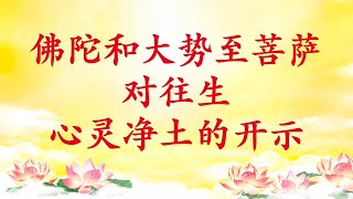 卢台长【节目录音】佛陀和大势至菩萨对往生心灵净土的开示