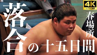 【落合｜伯桜鵬】あの“伝説”の取組も全て見せます。ショートカットver。大注目の春場所全取組十五番、落合の熱き闘いの記録【大相撲 sumo】