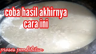 Memaksimalkan proses pembibitan