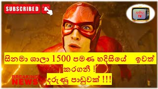 සිනමා ඉතිහාසයේ දැවැන්ත පාඩුවක් Flash අත්පත් කරගනී | Biggest Flop Flash Movie 2023