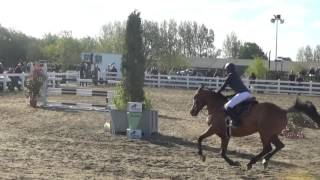 Annaghmore Beach Babe, 148 RDS Qualifier, 1st Round