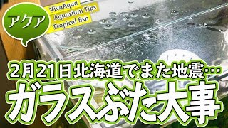 2月21日北海道地震 #アクアリウム 地震対策にガラスぶたは大事！ 【ビバアクア】