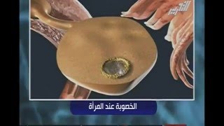 ازاي بيحصل حمل طبيعي