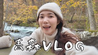 日本獨旅Vlog🇯🇵 | 不自駕玩青森｜八戶沒有海鷗的蕪嶋神社🐦、種差海岸美麗海景、奧入瀨溪一日遊🍁、十和田湖必吃蘋果派｜solo trip in Japan