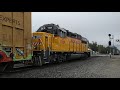 upy 1009 leading the local out of elk grove siding northbound