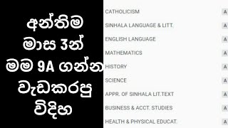 මම 9A ගන්න වැඩ කරපු විදිය 2020 O/L | The way I worked to get 9A !  2020 O/L exam