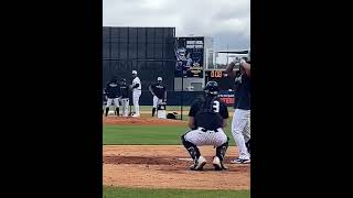 Jasson DOMINGUEZ Vs Marcus STROMAN New York Yankees Live BP Spring Training 2025 #mlb #yankees