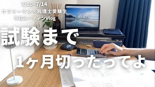 【会社員×税理士受験生】1ヶ月後に試験が迫る28歳会社員の平日ルーティン Vol.38