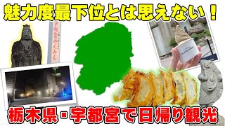 【宇都宮観光】餃子！大谷石！新幹線！宇都宮は隠れた一大観光地だった！