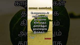 காலை வணக்கம்/ Good morning/