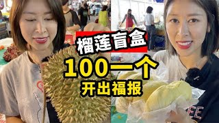 泰国菜市场噶榴莲，100RMB五房“小胖子”，你们看我赚没赚？【曼谷二小姐】