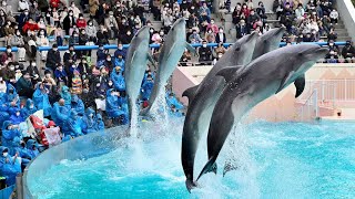 さよならスマスイ。そして、ありがとう　須磨海浜水族園、３１日いったん閉園