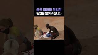 중국 미라마 작업장, 중국인에게 '직접' 이유를 물어보았습니다