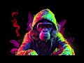 [ Drum And Bass Reggae 2024 ] LaChips  Real Monkey