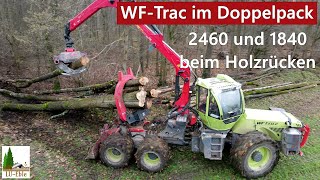 WF-Trac 2460 \u0026 WF-Trac 1840 bei der Laubholzernte | Forstbetrieb Zehnle