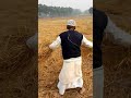 27 28 29 ijtema birniya jurail bahadurganj tablig ijtima2022 ijtema2024