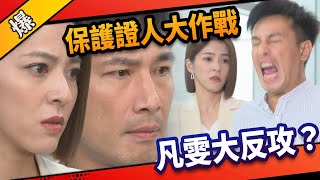 《八點檔搶先爆》市井豪門 EP214 保護證人大作戰  凡雯大反攻？