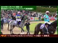 現地撮影 池添謙一騎手のマイルcs勝利インタビュー／2019年11月17日