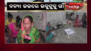 Kendrapara: More than 1500 flood victims evacuated to relief camp in Mahakalpada block || KalingaTV