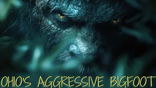 Exploring Ohio Bigfoot Area: Aggressive Behavior Day \u0026 Night