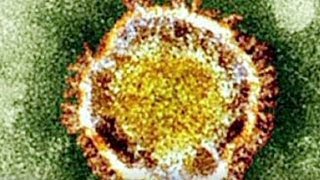 SARS-like virus linked to Middle East