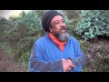 Walk with Mooji Baba - Thank You Prayer