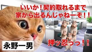 【豊田商事】最悪の結末を迎えた悪徳商法による巨額詐欺事件 #猫マニ #猫ミーム