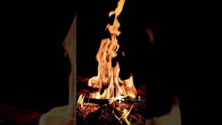 Relaxing Fireplace Sounds - Burning Wood | Fire Sounds #shorts  #4k  #woodfire #fireplace #bonfire