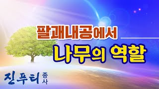 [우리말] 팔괘내공에서 나무의 역할 ｜ 나무와 우주의 관계 ｜ 팔괘내공 Q\u0026A