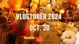 Vlogtober Oct. 30, 2024 / Chunky Crochet Blanket / Strawberry Toffee Project Bags