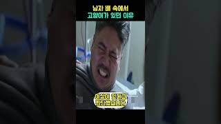 남자의 뱃 속에서 고양이가 있던 이유