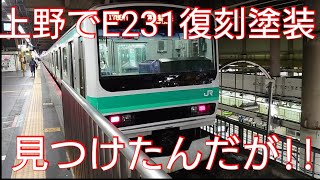 【前面🟩塗装なし】E231系常磐線の復刻塗装今でもやってんじゃん🤔