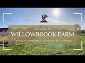 Welcome to Willowbrook Farm 🐓| A Sustainable Family Farm in Oxfordshire