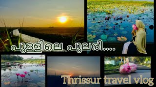 Pullu Padam||പുള്ളിലെ പുലരി കണ്ടിട്ടുണ്ടോ||Sunrise in paddy field||Lotus field||Thrissur travel vlog