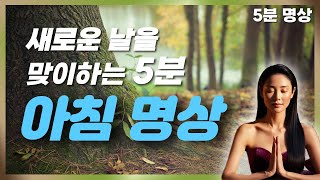 아침명상 ｜바쁜 현대인들을 위한 5분 아침 명상