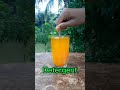 turmeric powder detergent lemon reaction experiment