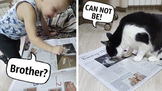 Our faces are in the newspaper! The reaction of the cat and his brother
